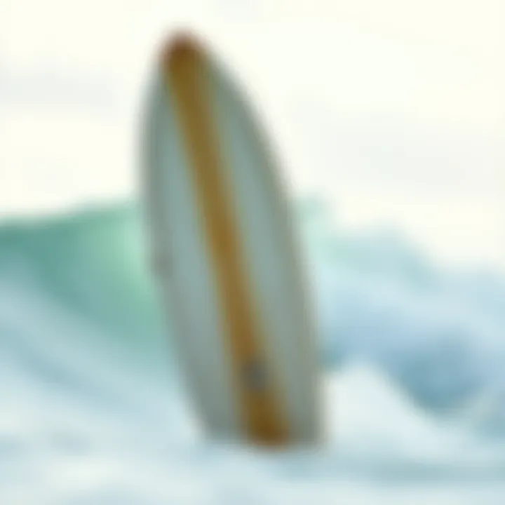 Surf conditions and longboard suitability