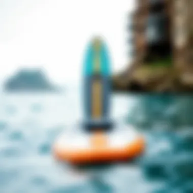 Types of Paddle Boards and Their Characteristics Different paddle board types