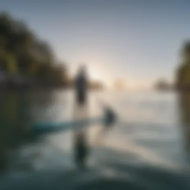 A paddle boarder navigating calm waters expertly