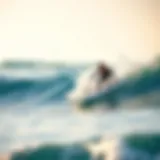 Determining the Right Size Surfboard for Your Needs Introduction