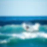 Diverse Surfing Styles: A Comprehensive Exploration Introduction