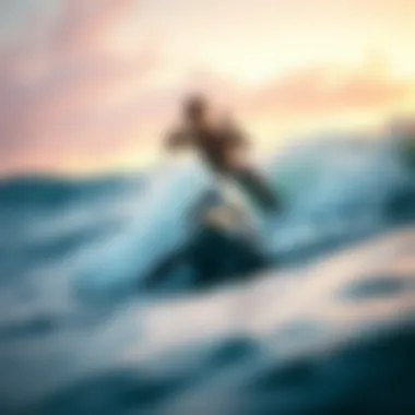 Dolphins of the World: An In-Depth Exploration Summary