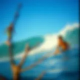Driftwood Surfer Guatemala: A Journey Through Waves and Culture Introduction