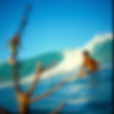 Driftwood Surfer Guatemala: A Journey Through Waves and Culture Introduction Driftwood Surfer Guatemala: A Journey Through Waves and Culture Introduction