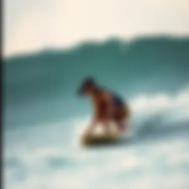 Notable Driftwood Surfer Guatemala: A Journey Through Waves and Culture Notable Driftwood Surfer Guatemala: A Journey Through Waves and Culture