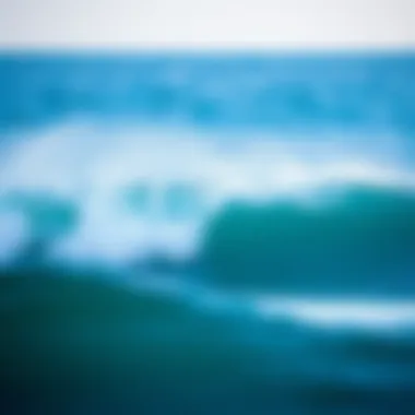 Essential Wave Report Applications for Surf Enthusiasts Summary