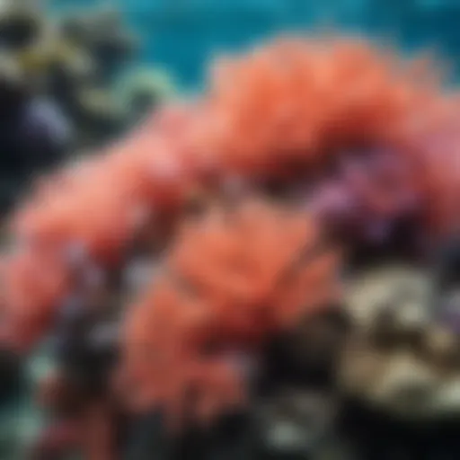 Vibrant coral reef teeming with marine life