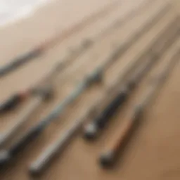 A variety of surf fishing rods displayed on a sandy beach