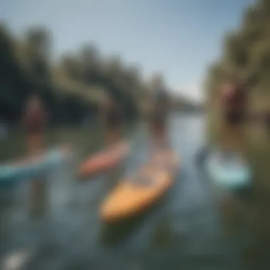 A diverse group of paddlers enjoying a sunny day on various stand-up paddleboards.