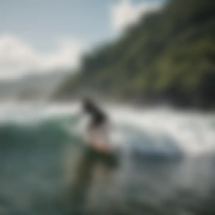 Diverse surfers enjoying a day on the waves