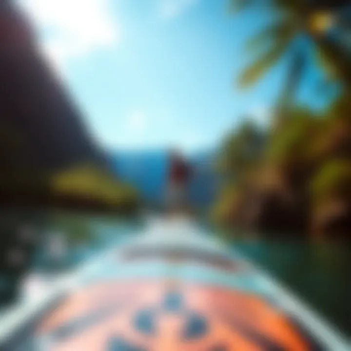 Scenic Adventure with eSUP An adventurer enjoying a scenic view while using an electric paddle board