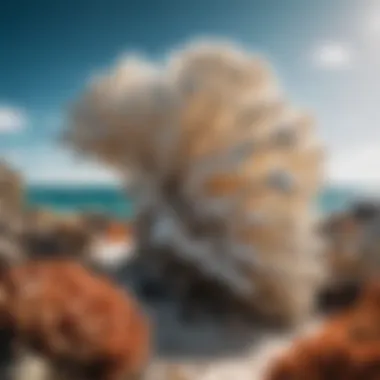 A dramatic image of coral bleaching, highlighting the effects of climate change on the reef.