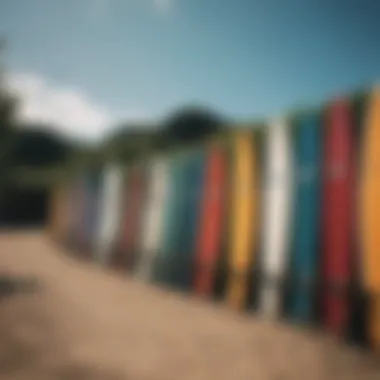 Surfboards lined up for adventure