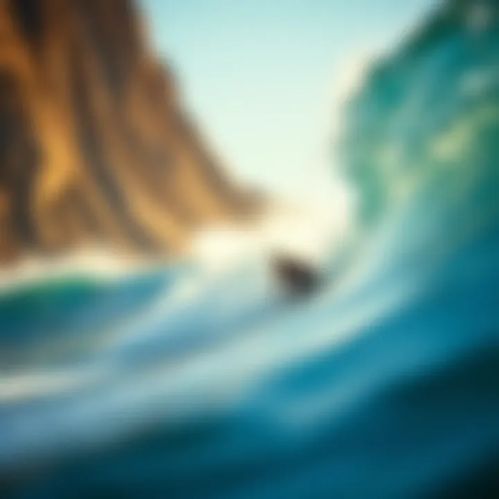 Exploring Jacks Surf Shop Coupons: A Comprehensive Guide Summary Exploring Jacks Surf Shop Coupons: A Comprehensive Guide Summary