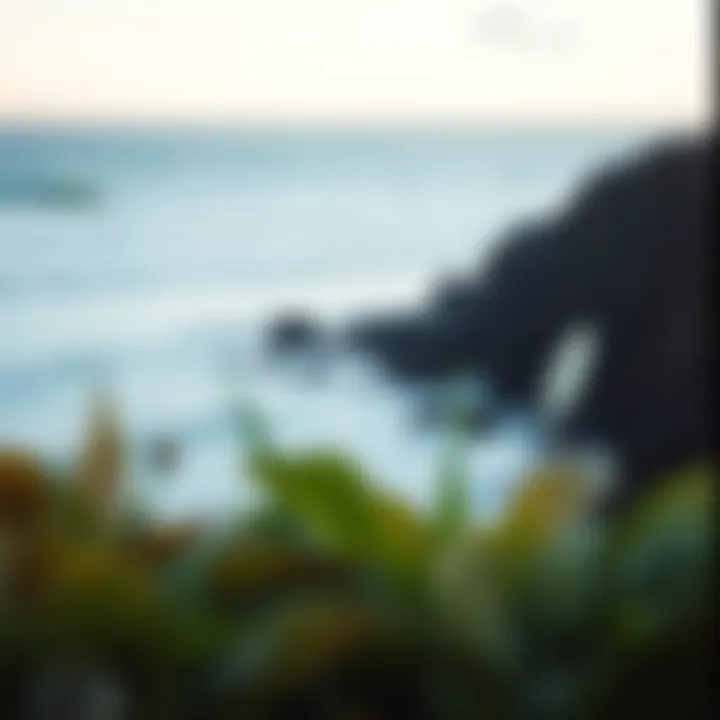 Exploring Kalon Surf Camp: A Comprehensive Guide Introduction