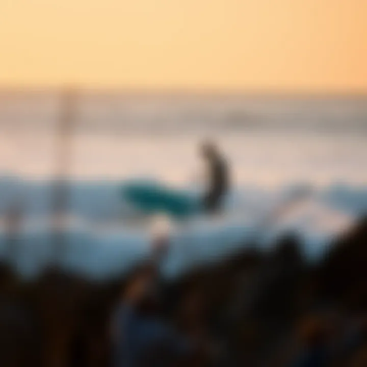 Exploring Leading Surf Apparel Brands Introduction