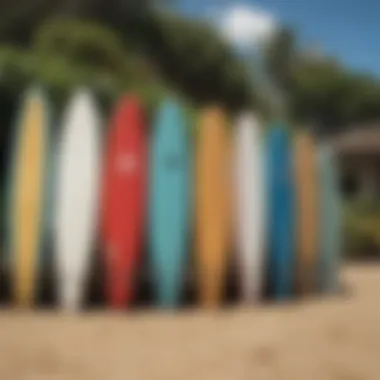 Variety of Surfboards Available for Rent in Lahaina Surfboard rentals lined up on a Lahaina beach