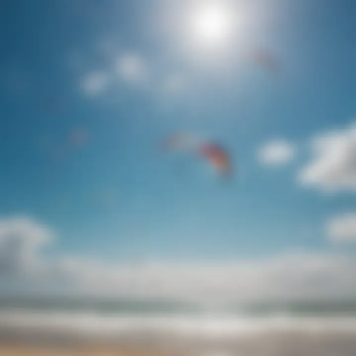 A vibrant array of kites soaring in the sky at the Outer Banks