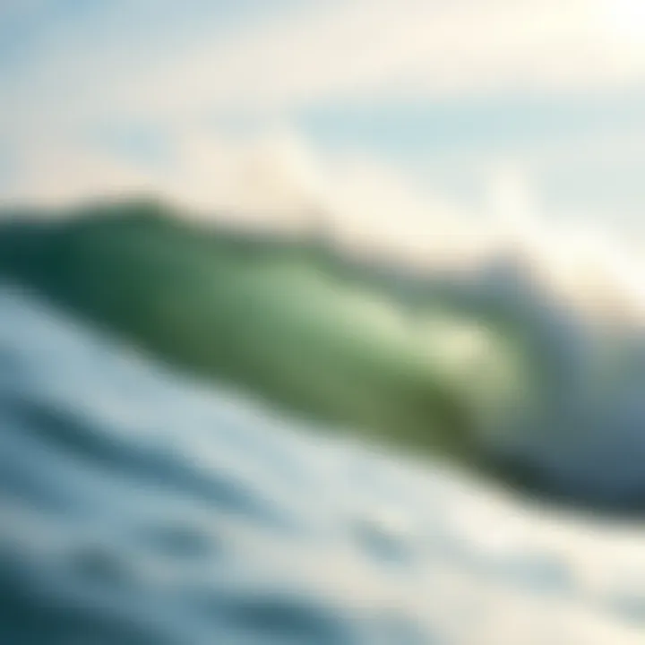 Notable Exploring Popular Surf Brands: A Comprehensive Overview