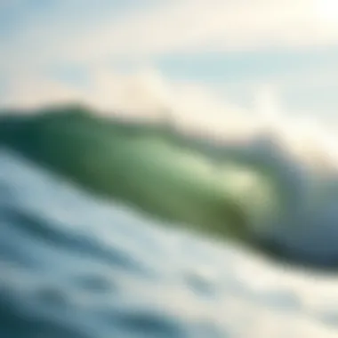 Notable Exploring Popular Surf Brands: A Comprehensive Overview Notable Exploring Popular Surf Brands: A Comprehensive Overview