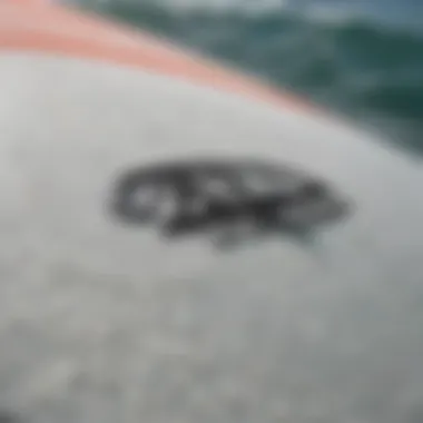 A close-up view of a Quiksilver foam surfboard showcasing its unique design features