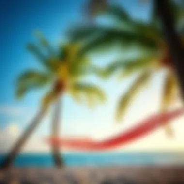 An inviting hammock strung between two palm trees, epitomizing relaxation and freedom in summer