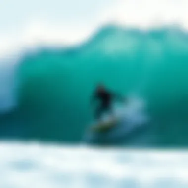 Exploring Surfer Toys: A Comprehensive Guide Summary Exploring Surfer Toys: A Comprehensive Guide Summary