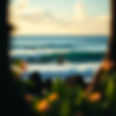 Exploring Tavarua: The Heart of Fiji's Surfing Paradise Summary Exploring Tavarua: The Heart of Fiji's Surfing Paradise Summary