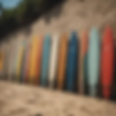 Various surfboards lined up on the beach