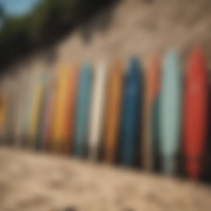 Various surfboards lined up on the beach