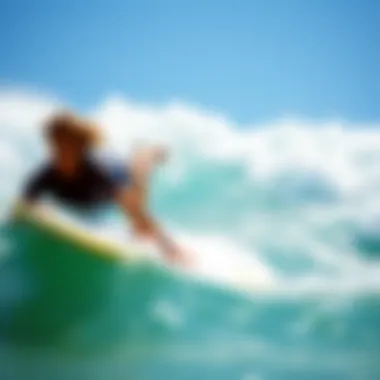 Exploring the Beater Boogie Board: A Comprehensive Guide Introduction Exploring the Beater Boogie Board: A Comprehensive Guide Introduction