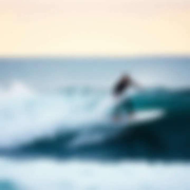 Exploring the Best Carving Longboards: A Comprehensive Guide Summary