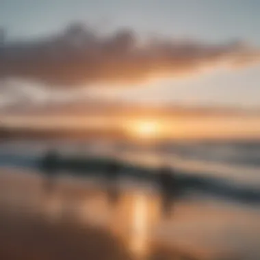 Group of surfers enjoying a sunset