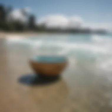 A tranquil scene at Ala Moana Bowls, with beginner-friendly wave conditions.