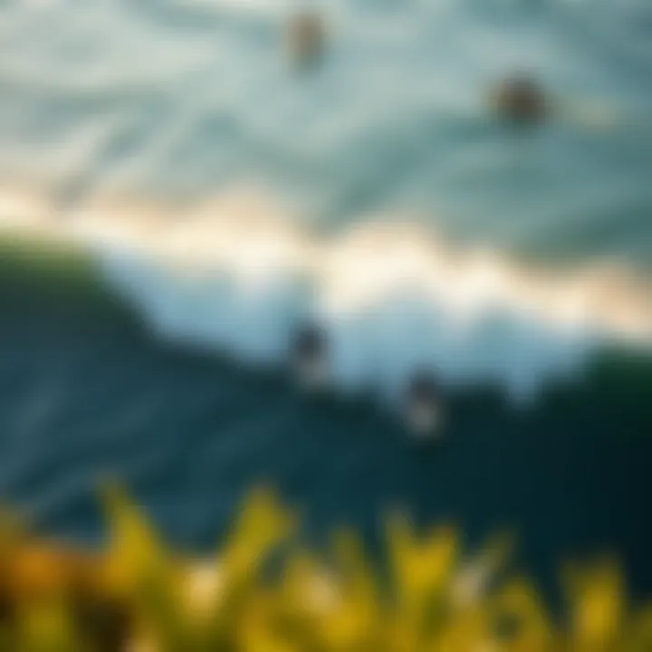 Surfers Harmony with Nature Aerial view of surfers riding waves