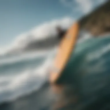 An album cover featuring iconic surf music artists in a coastal setting