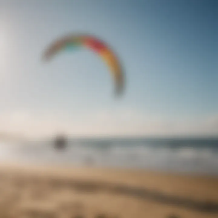 A variety of kitesurfing kites displayed on a beach, representing different styles and sizes