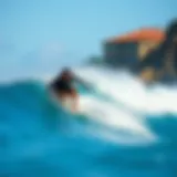 Exploring the Dynamics of Longboard Waves Introduction
