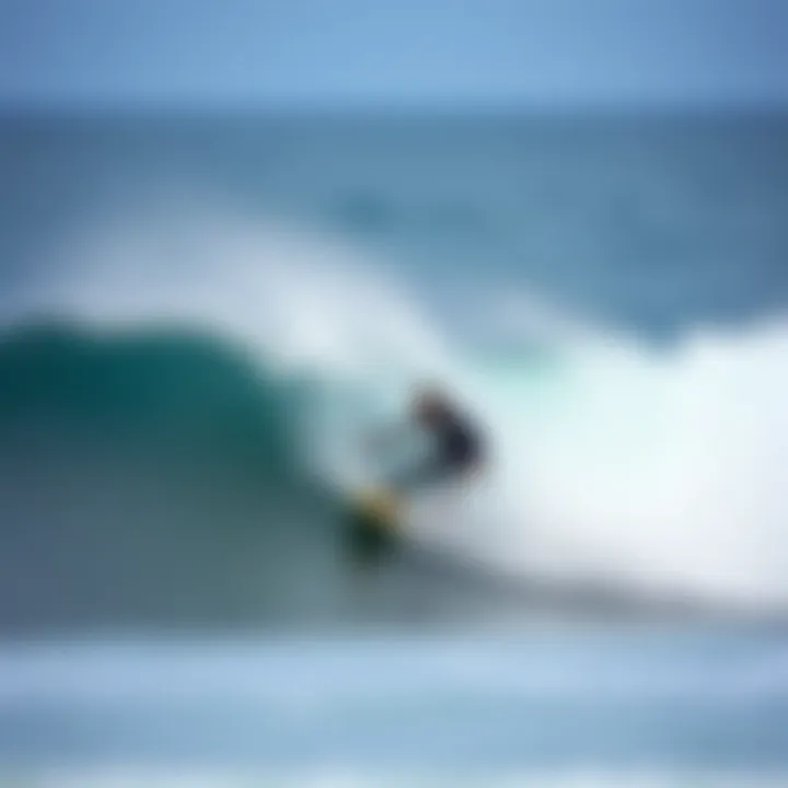 Exploring the Dynamics of Longboard Waves Summary