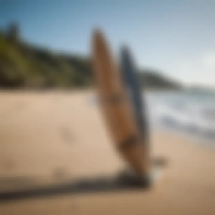 Comparison of various types of FCS II longboard fins in a surfboard setup