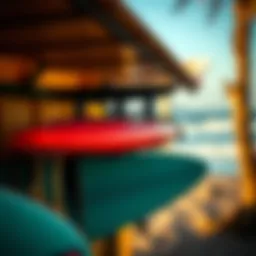 Exploring the Functionality and Aesthetics of Surfboard Hangers Introduction