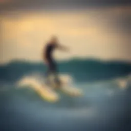 Exploring the Hydrofoil Pump Board: Innovations and Insights Introduction