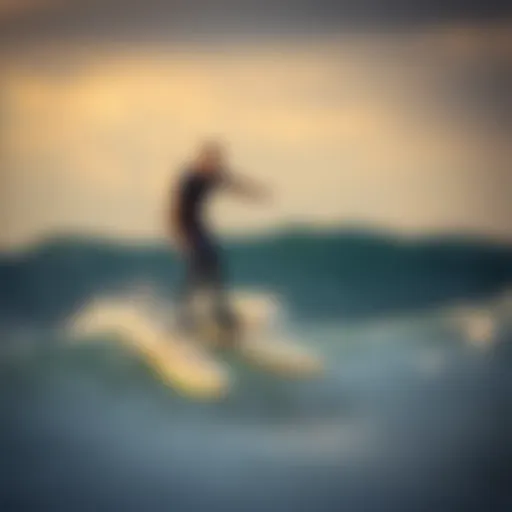 Exploring the Hydrofoil Pump Board: Innovations and Insights Introduction