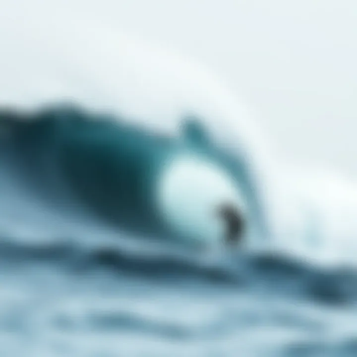 Historical Evolution of the Wave A historical context visual illustrating the evolution of the wave painting over time