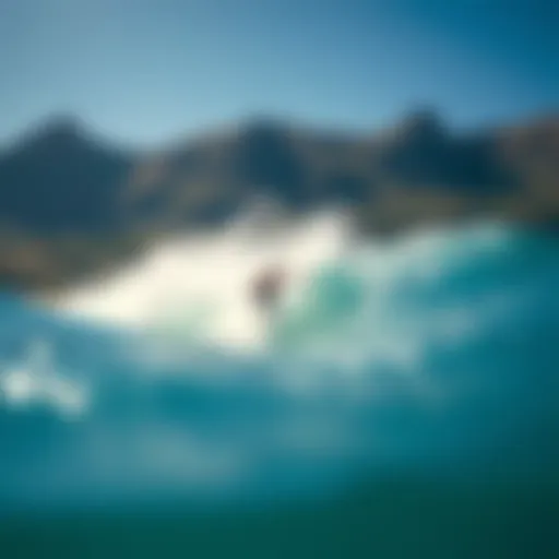 Exploring the Location of Kelly Slater's Wave Pool Introduction