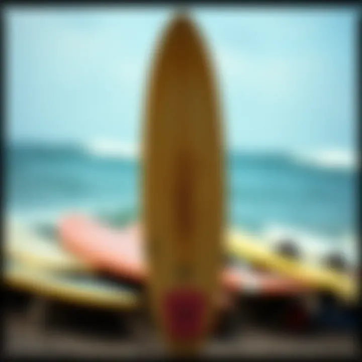 Notable Exploring the Realm of Used Surfboards: An In-Depth Analysis Notable Exploring the Realm of Used Surfboards: An In-Depth Analysis