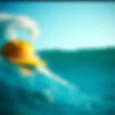 Exploring the Role of Surfing Hats in the Surfboarding Culture Summary