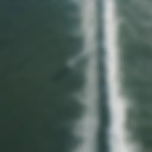 Aerial view of surfers catching waves at La Jolla