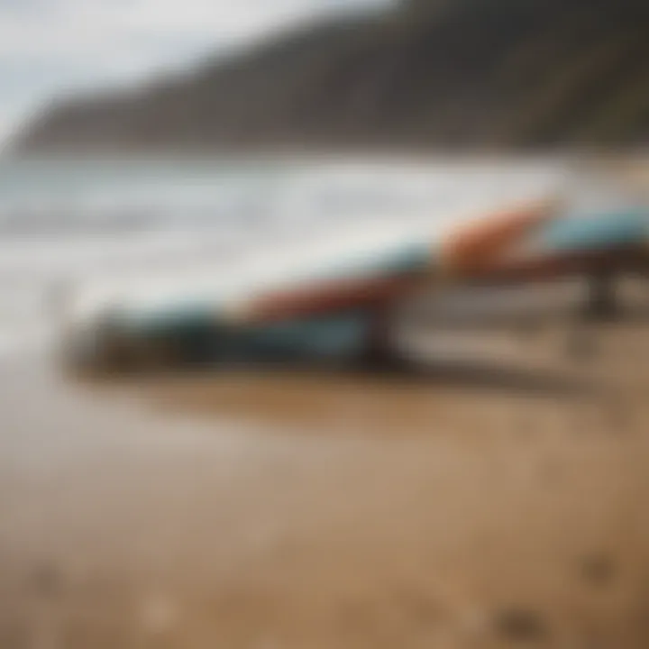 Close-up of surfboards lined up on the shore