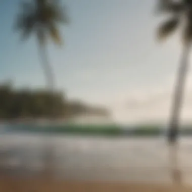 Local surf community gathered on the beach